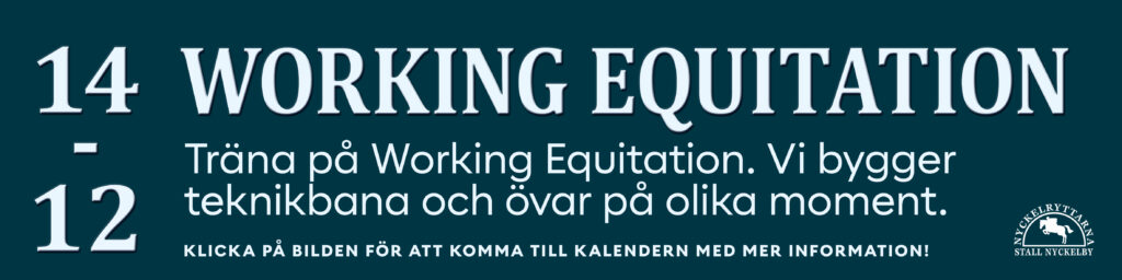 Working Equitataion 14 december