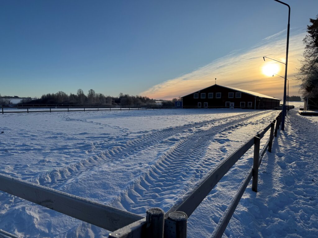 Stall utsikt mot ridhuset över hoppbanan